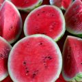 watermelons-961128_1920